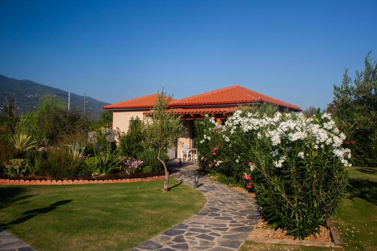 Elite Cottages Káto Lekhónia 外观 照片
